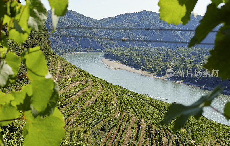 欣赏著名的多瑙河流域――拍摄于下奥地利的“Weissenkirchen in der Wachau”